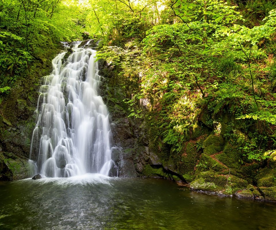 Обои деревья, вода, природа, камни, водопад, trees, water, nature, stones, waterfall разрешение 5472x3648 Загрузить