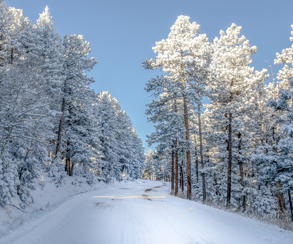 Обои небо, дорога, снег, природа, зима, сша, колорадо,     деревья, the sky, road, snow, nature, winter, usa, colorado, trees разрешение 2000x1379 Загрузить