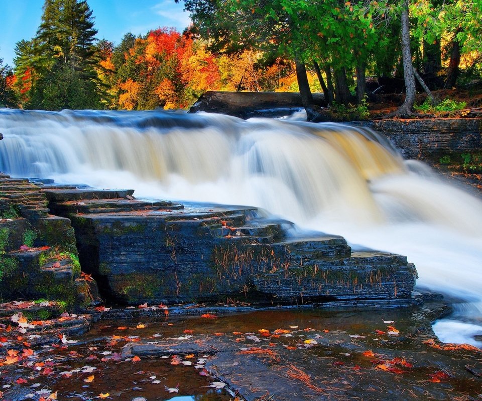 Обои лес, водопад, осень, forest, waterfall, autumn разрешение 2560x1600 Загрузить