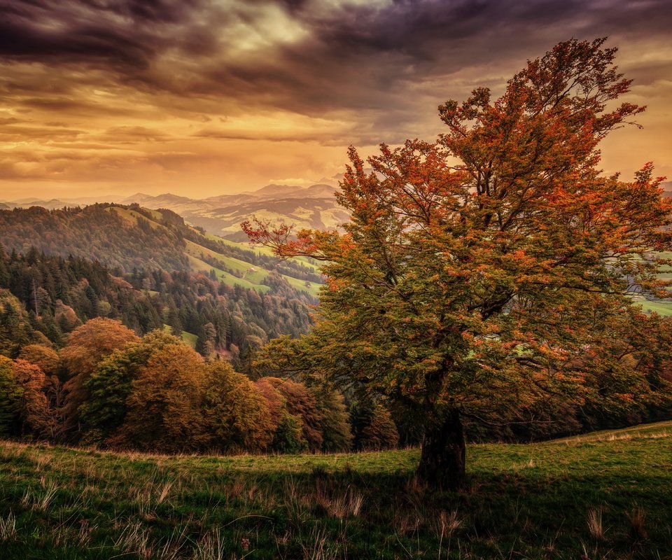 Обои небо, горы, природа, осень, швейцария,     деревья, the sky, mountains, nature, autumn, switzerland, trees разрешение 5616x3744 Загрузить