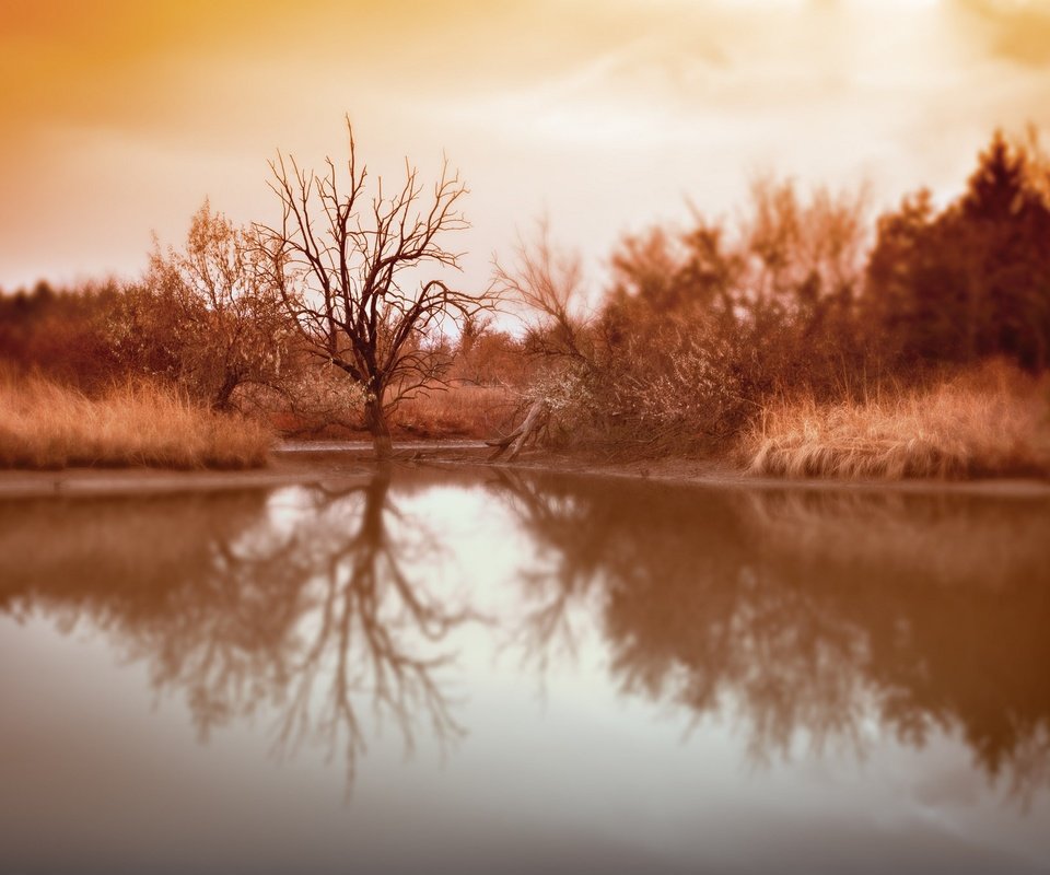 Обои озеро, дерево, отражение, фон, осень, lake, tree, reflection, background, autumn разрешение 2048x1361 Загрузить