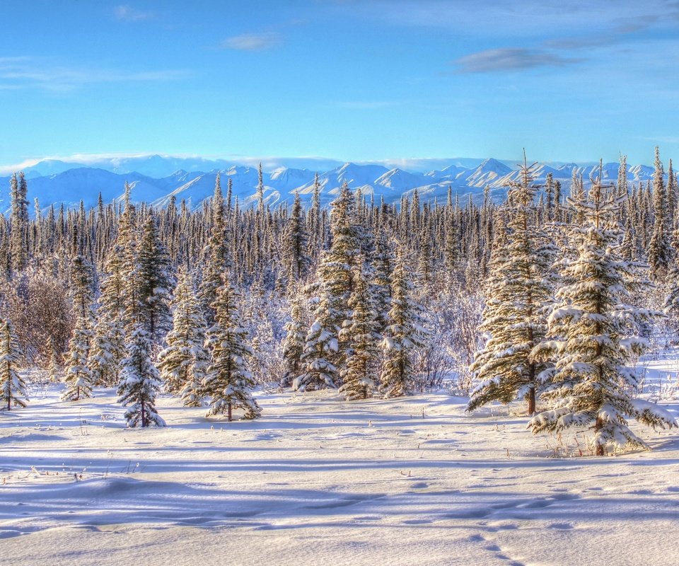 Обои небо, горы, снег, природа, зима, пейзаж, аляска,     деревья, the sky, mountains, snow, nature, winter, landscape, alaska, trees разрешение 4837x3262 Загрузить