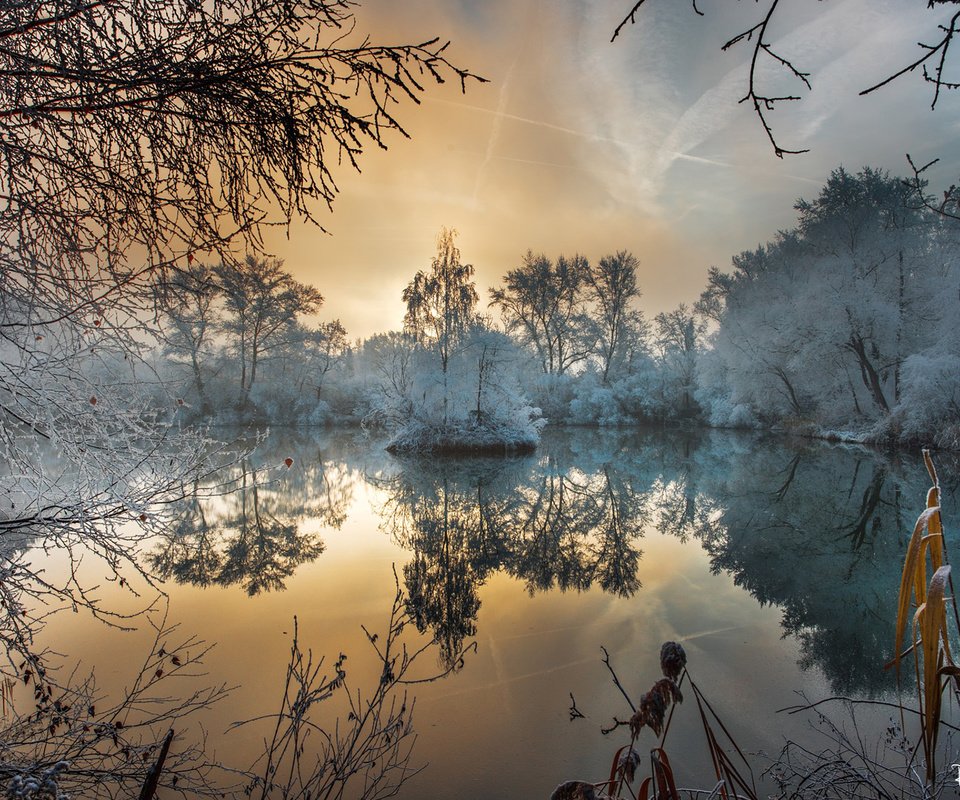 Обои деревья, вода, утро, туман, мороз, иней, trees, water, morning, fog, frost разрешение 1920x1200 Загрузить