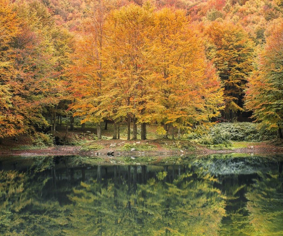 Обои река, природа, лес, отражение, осень, river, nature, forest, reflection, autumn разрешение 1920x1200 Загрузить