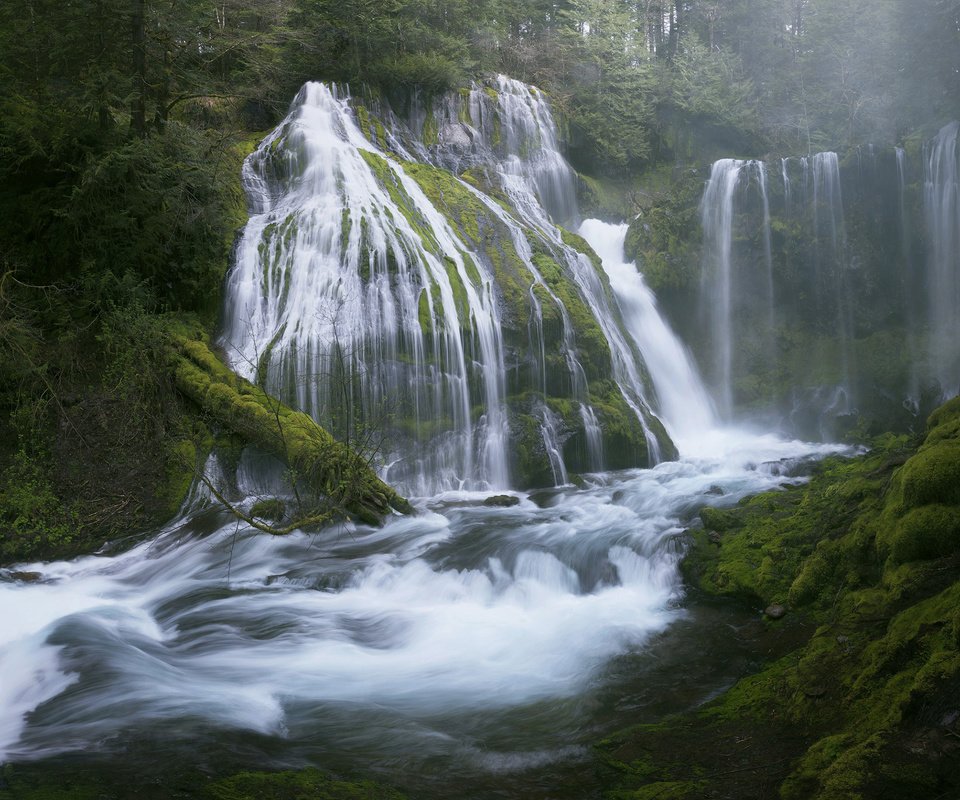 Обои деревья, вода, река, природа, лес, пейзаж, водопад, мох, trees, water, river, nature, forest, landscape, waterfall, moss разрешение 2560x1600 Загрузить