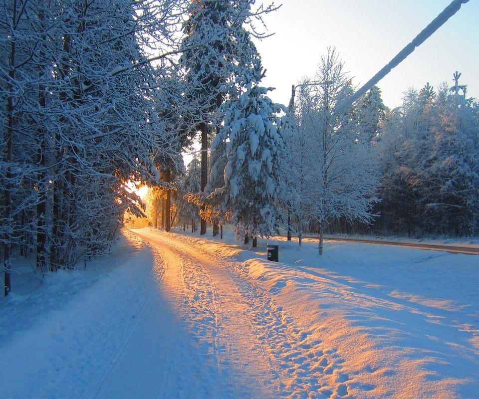 Обои дорога, снег, природа, лес, зима, утро, солнечный свет, road, snow, nature, forest, winter, morning, sunlight разрешение 1920x1200 Загрузить