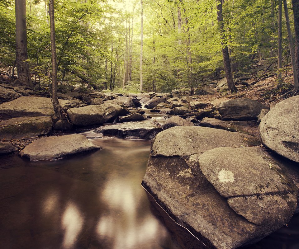 Обои река, природа, камни, лес, river, nature, stones, forest разрешение 2880x1800 Загрузить