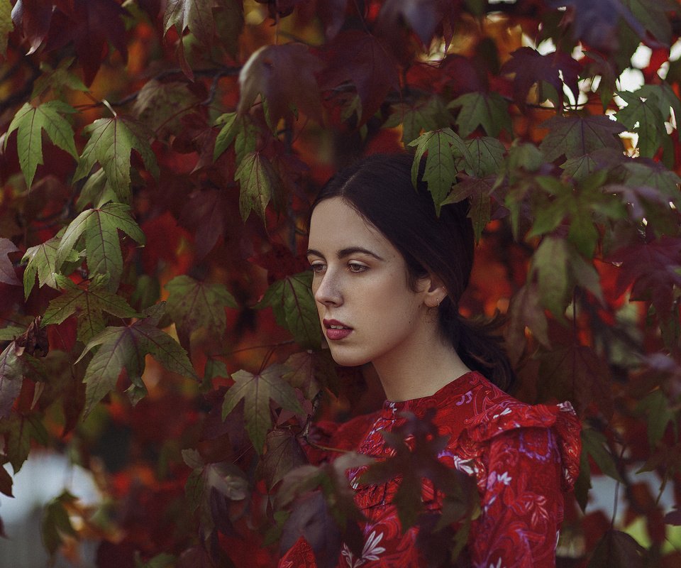 Обои листья, девушка, взгляд, осень, волосы, лицо, mara saiz, leaves, girl, look, autumn, hair, face разрешение 2048x1365 Загрузить