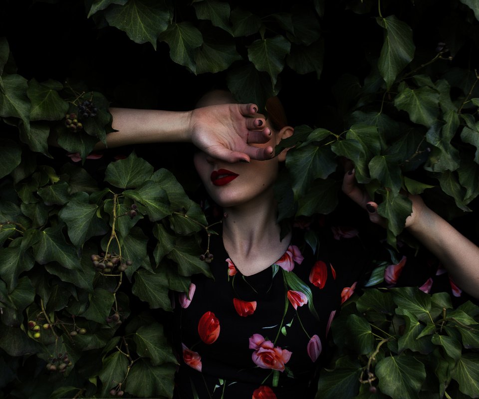 Обои листья, девушка, платье, листва, лицо, руки, mara saiz, leaves, girl, dress, foliage, face, hands разрешение 2048x1365 Загрузить