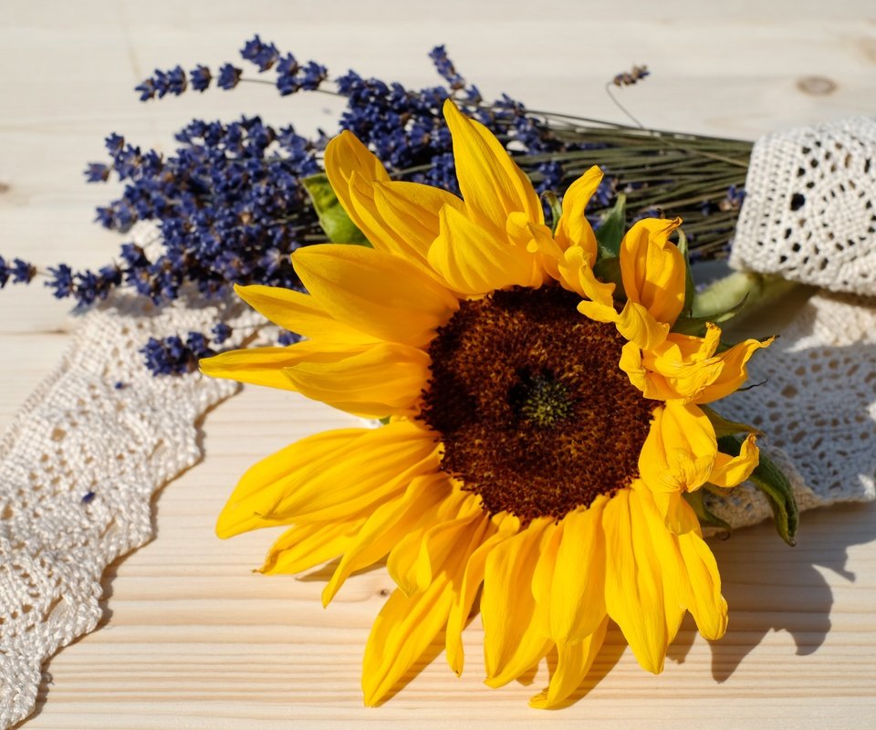 Обои цветы, лаванда, подсолнух, букет, кружево, flowers, lavender, sunflower, bouquet, lace разрешение 4896x3264 Загрузить
