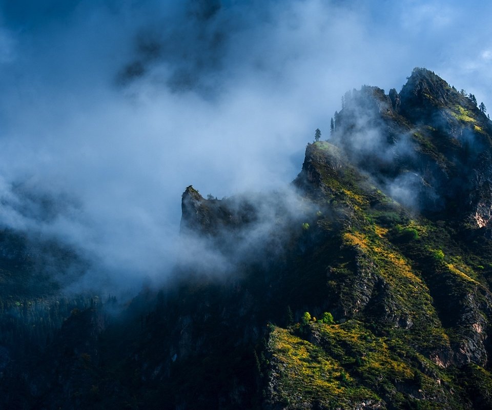 Обои горы, лес, туман, каменный город, дэн donglin, mountains, forest, fog, stone town, deng donglin разрешение 1920x1268 Загрузить