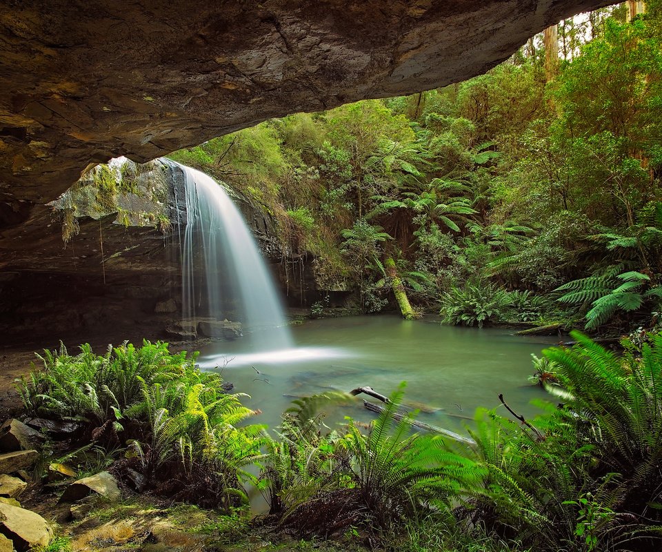 Обои деревья, скалы, природа, лес, водопад, тропики, trees, rocks, nature, forest, waterfall, tropics разрешение 2048x1365 Загрузить