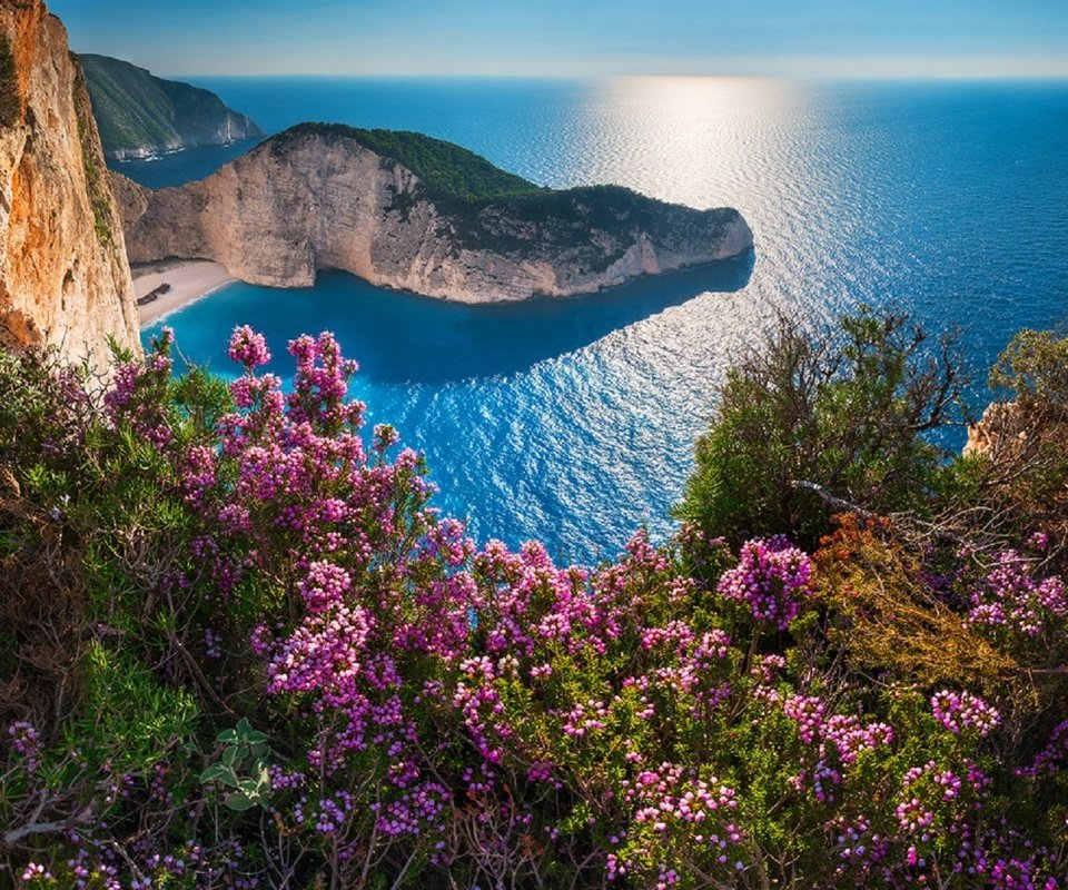 Обои цветы, скалы, море, побережье, греция, бухта навайо, navagio beach, остров закинф, навайо, shipwreck, flowers, rocks, sea, coast, greece, bay of navagio, island of zakynthos разрешение 1920x1089 Загрузить