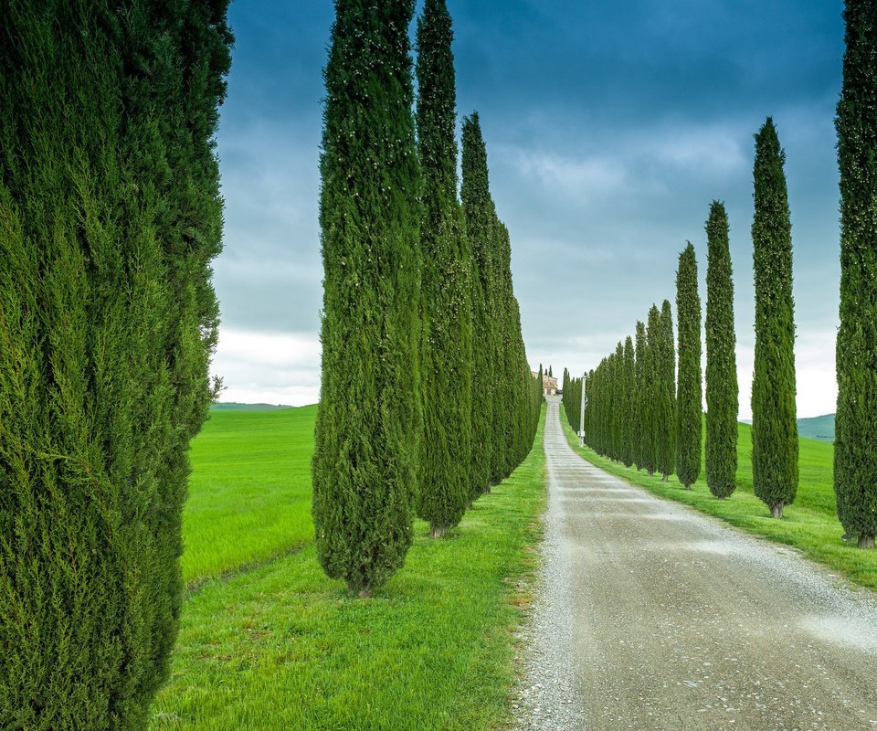 Обои небо, дорога, трава, деревья, италия, тоскана, кипарис, the sky, road, grass, trees, italy, tuscany, cypress разрешение 2048x1363 Загрузить