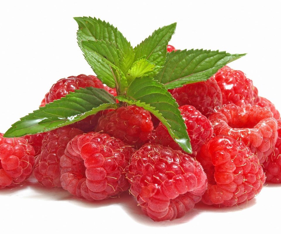 Обои листья, малина, ягода, белый фон, leaves, raspberry, berry, white background разрешение 5584x3536 Загрузить