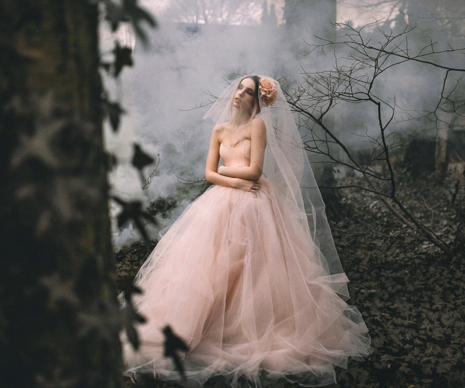 Обои лес, девушка, взгляд, модель, невеста, свадебное платье, forest, girl, look, model, the bride, wedding dress разрешение 2048x1365 Загрузить