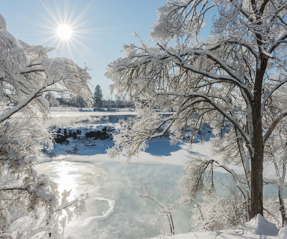 Обои деревья, снег, природа, лес, зима, лёд, trees, snow, nature, forest, winter, ice разрешение 1920x1200 Загрузить