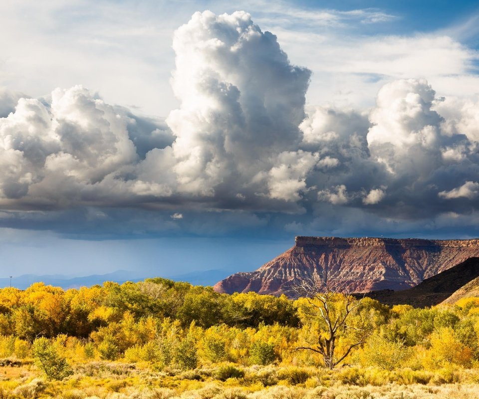 Обои небо, холм, облака, долина, природа, zion national park, горный хребет, пейзаж, поле, горизонт, луг, пастбище, the sky, hill, clouds, valley, nature, mountain range, landscape, field, horizon, meadow, pasture разрешение 2048x1365 Загрузить