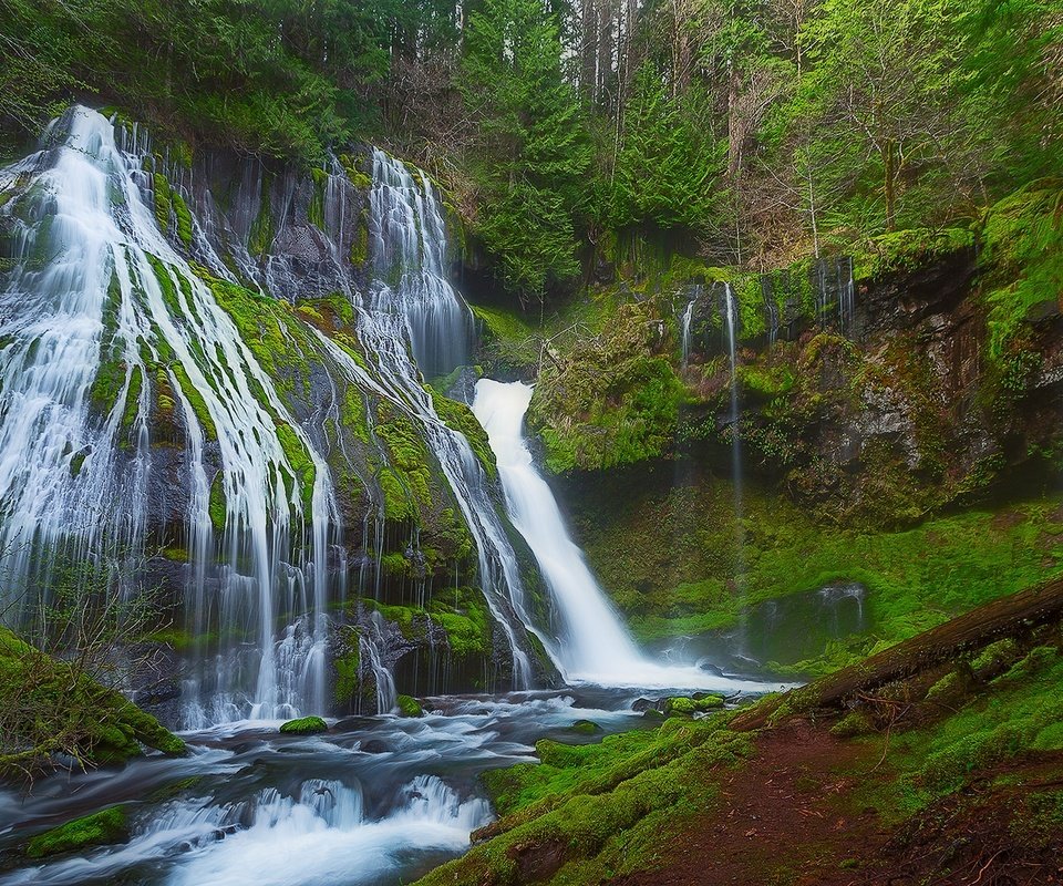 Обои деревья, природа, лес, водопад, panther creek falls, gifford pinchot национальный лес, trees, nature, forest, waterfall, gifford pinchot national forest разрешение 2048x1128 Загрузить