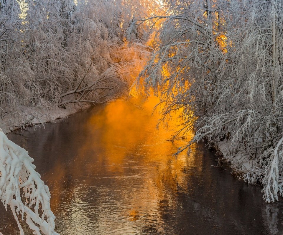 Обои деревья, река, природа, лес, ветки, иней, trees, river, nature, forest, branches, frost разрешение 1920x1200 Загрузить