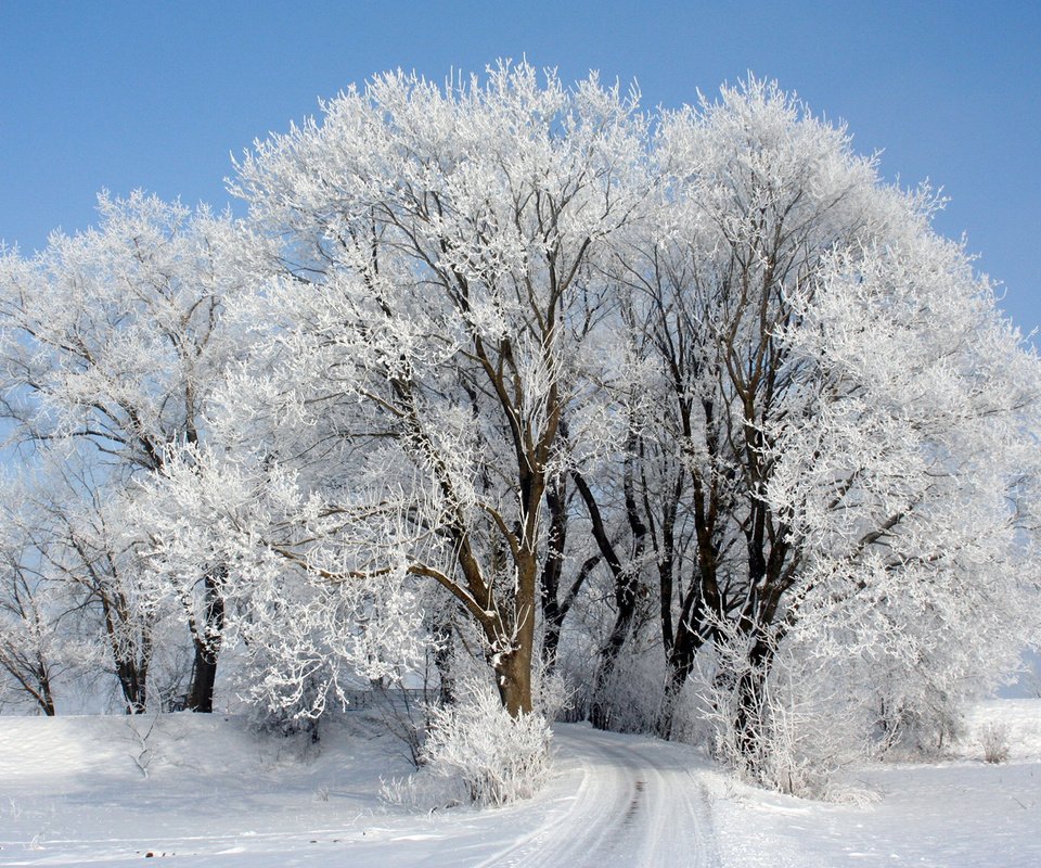 Обои небо, дорога, деревья, снег, зима, иней, the sky, road, trees, snow, winter, frost разрешение 1920x1200 Загрузить