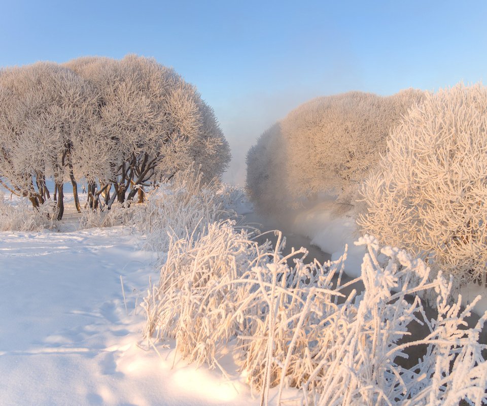 Обои небо, деревья, снег, природа, зима, мороз, иней, эдуард гордеев, the sky, trees, snow, nature, winter, frost, eduard gordeev разрешение 1920x1200 Загрузить