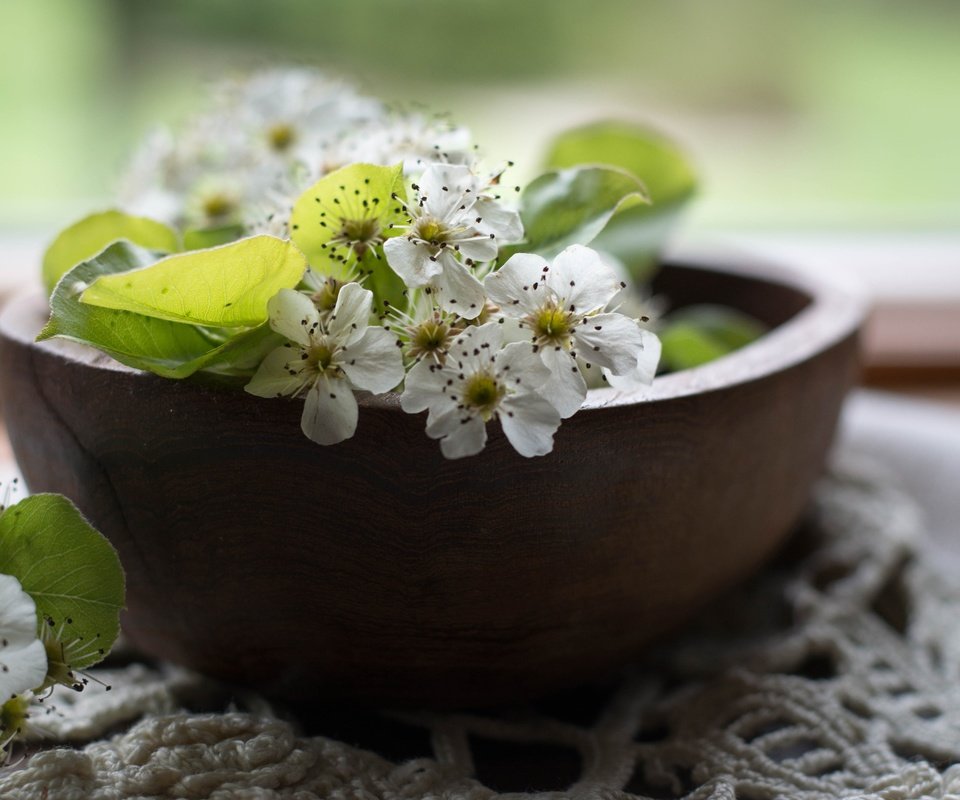 Обои цветы, цветение, листья, лепестки, весна, салфетка, груша, миска, flowers, flowering, leaves, petals, spring, napkin, pear, bowl разрешение 3600x2400 Загрузить