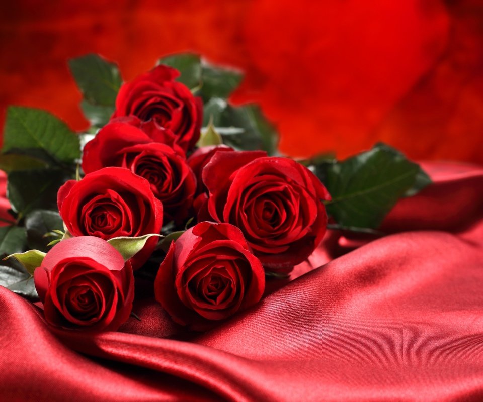 Обои розы, ткань, букет, шелк,  цветы, красные розы, roses, fabric, bouquet, silk, flowers, red roses разрешение 5000x3081 Загрузить