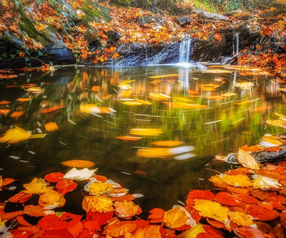 Обои вода, листья, водопад, осень, поток, water, leaves, waterfall, autumn, stream разрешение 2048x1198 Загрузить