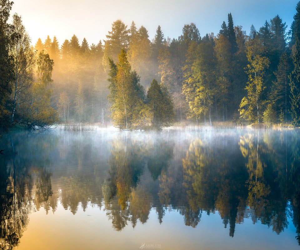 Обои деревья, финляндия, озеро, лес, отражение, утро, туман, рассвет, осень, trees, finland, lake, forest, reflection, morning, fog, dawn, autumn разрешение 2048x1492 Загрузить
