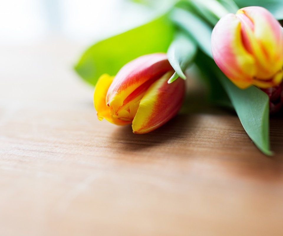 Обои цветы, весна, тюльпаны, деревянная поверхность, flowers, spring, tulips, wooden surface разрешение 2880x1800 Загрузить