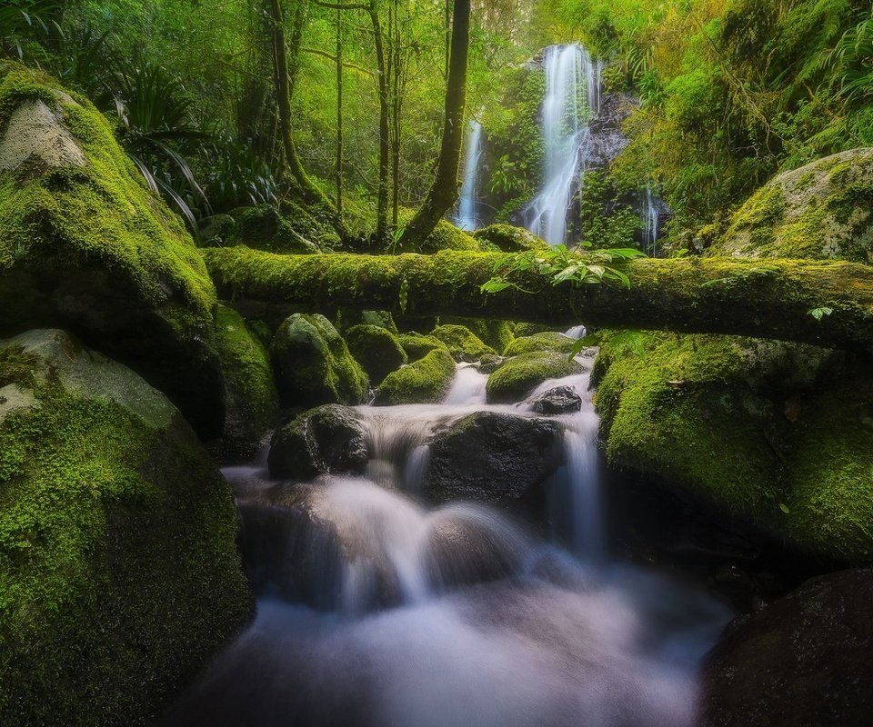 Обои река, бревно, природа, chalahn falls, elabana falls, камни, lamington national park, лес, ручей, водопад, мох, австралия, river, log, nature, stones, forest, stream, waterfall, moss, australia разрешение 1920x1200 Загрузить