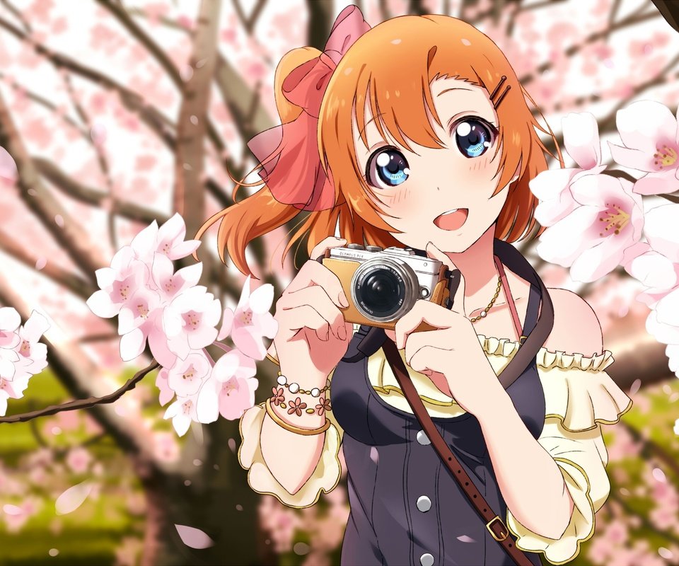 Обои улыбка, камера, love live, коусака гонока, sakura petals, smile, camera, kousaka honoka разрешение 2118x1500 Загрузить