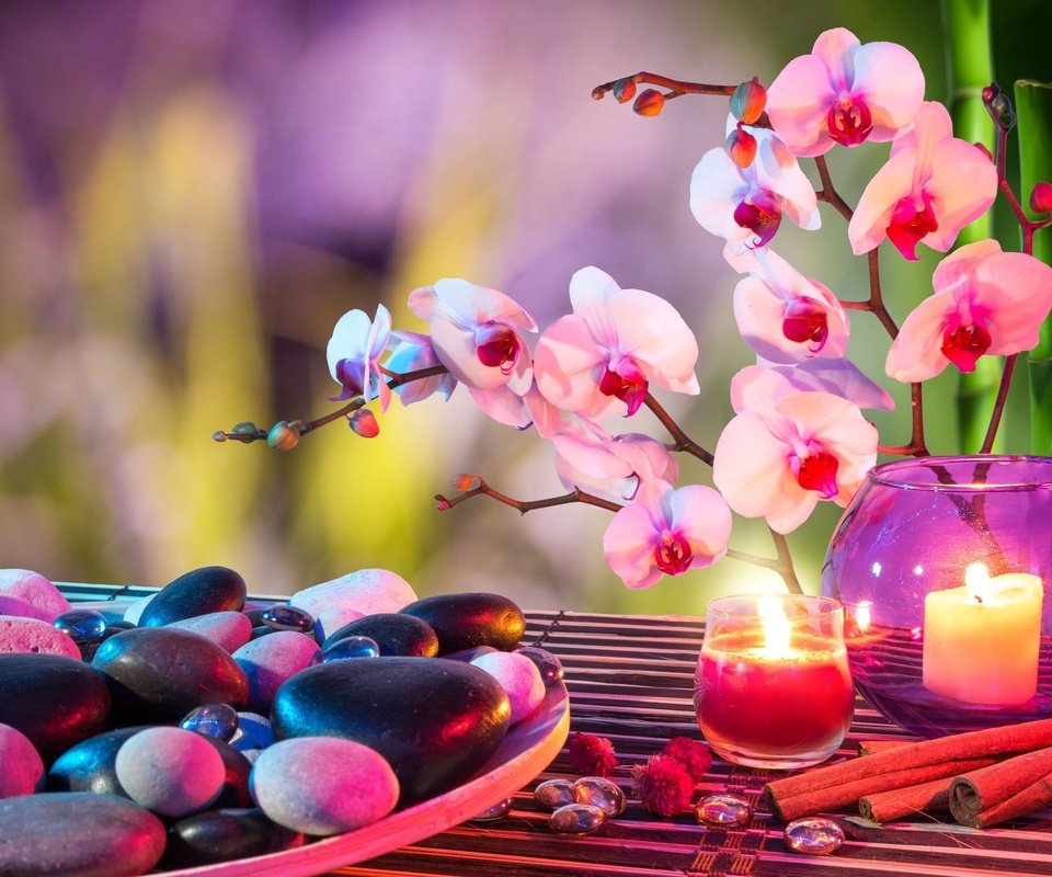 Обои цветы, свечи, камни, корица, бамбук, спа, орхидеи, flowers, candles, stones, cinnamon, bamboo, spa, orchids разрешение 2560x1600 Загрузить