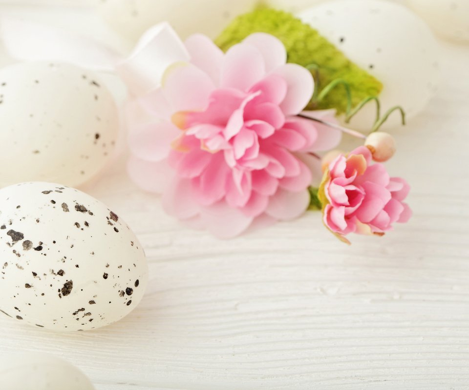 Обои пасха, яйца, камелия, easter, eggs, camellia разрешение 4835x3322 Загрузить