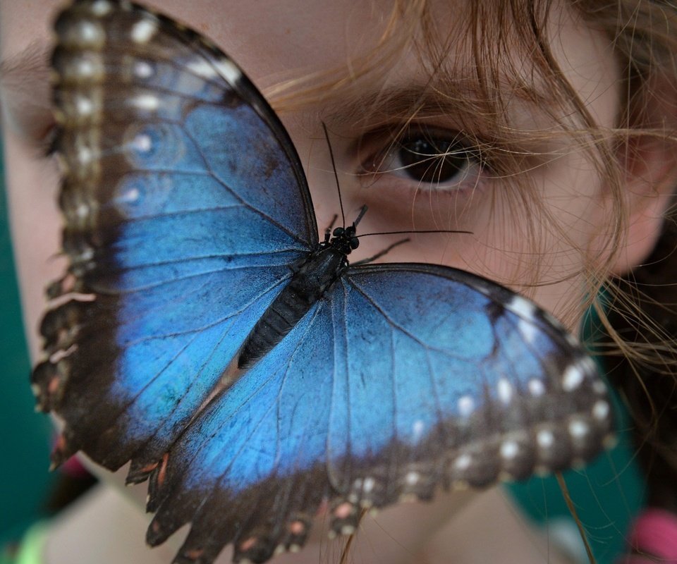Обои глаза, настроение, насекомое, взгляд, бабочка, крылья, девочка, лицо, eyes, mood, insect, look, butterfly, wings, girl, face разрешение 1920x1200 Загрузить