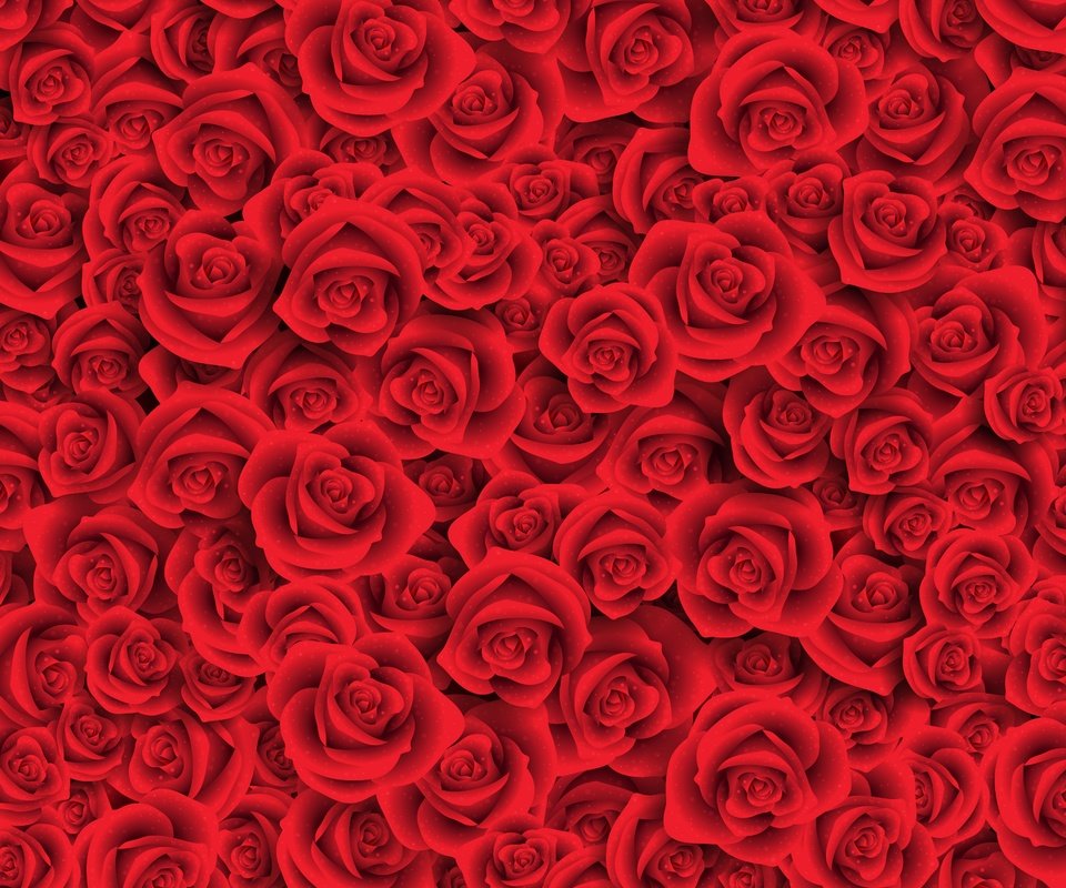 Обои цветы, бутоны, розы, лепестки, красные, flowers, buds, roses, petals, red разрешение 3600x3600 Загрузить