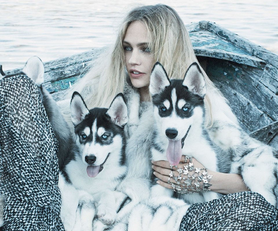 Обои девушка, блондинка, модель, хаски, щенки, vogue, саша пивоварова, girl, blonde, model, husky, puppies, sasha pivovarova разрешение 2317x1552 Загрузить