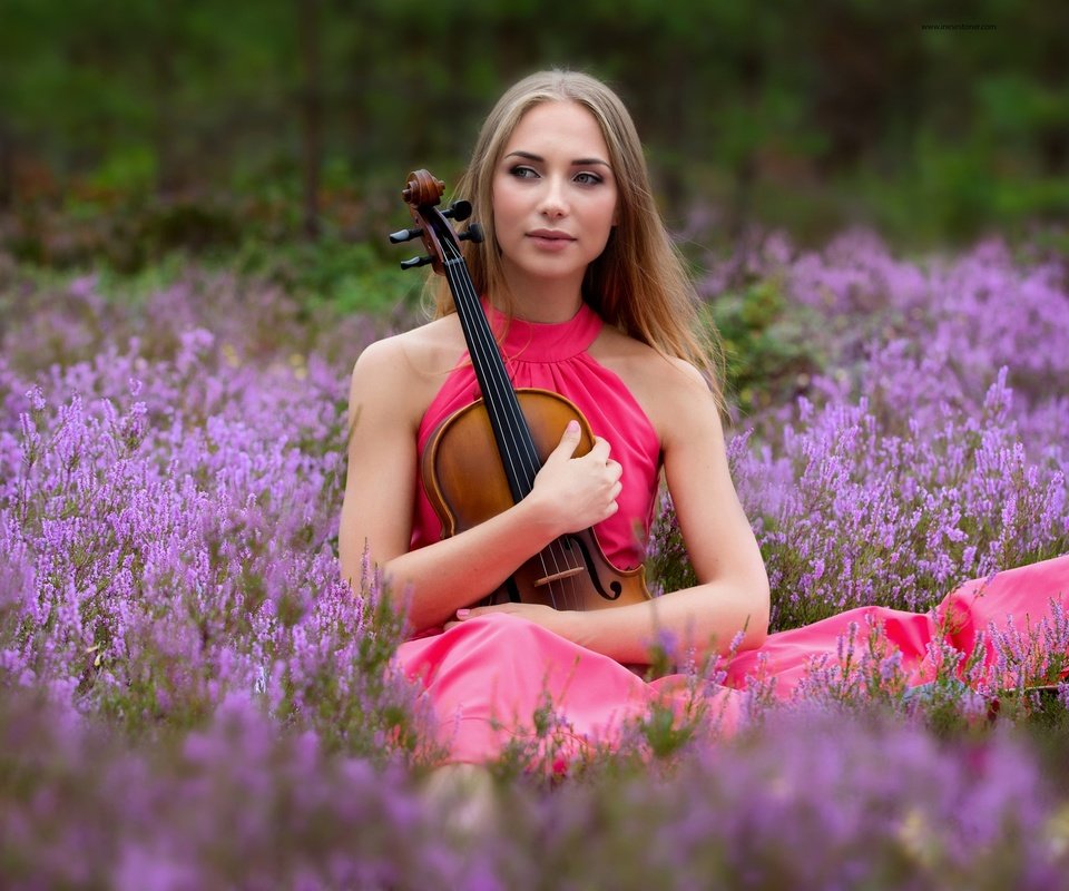 Обои цветы, девушка, настроение, платье, скрипка, вереск, flowers, girl, mood, dress, violin, heather разрешение 2048x1365 Загрузить