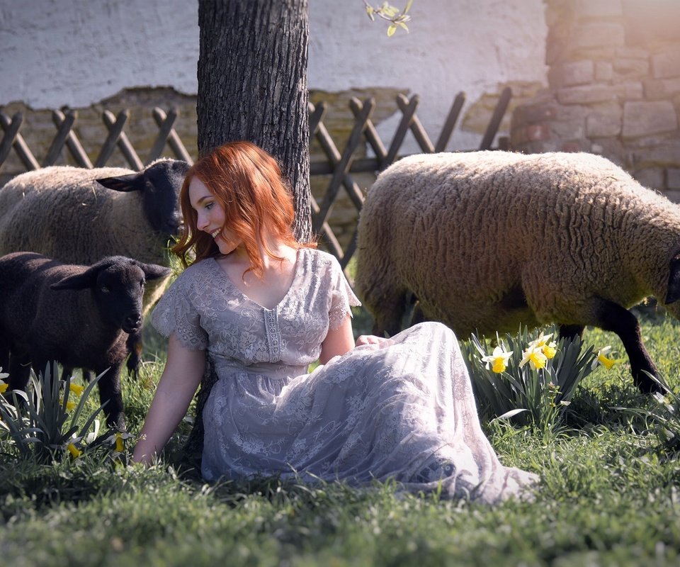 Обои девушка, настроение, улыбка, рыжая, овцы, овечки, girl, mood, smile, red, sheep разрешение 2048x1128 Загрузить