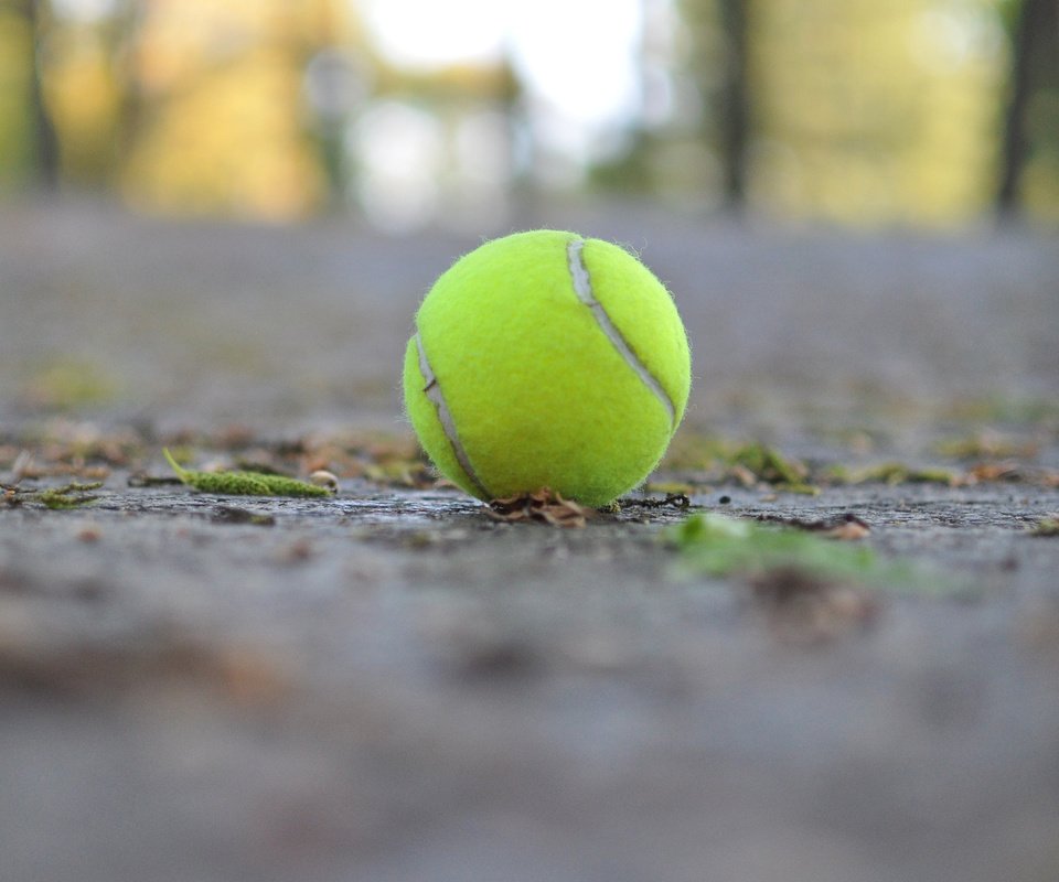 Обои макро, мяч, теннис, теннисный мяч, macro, the ball, tennis, tennis ball разрешение 2880x1800 Загрузить