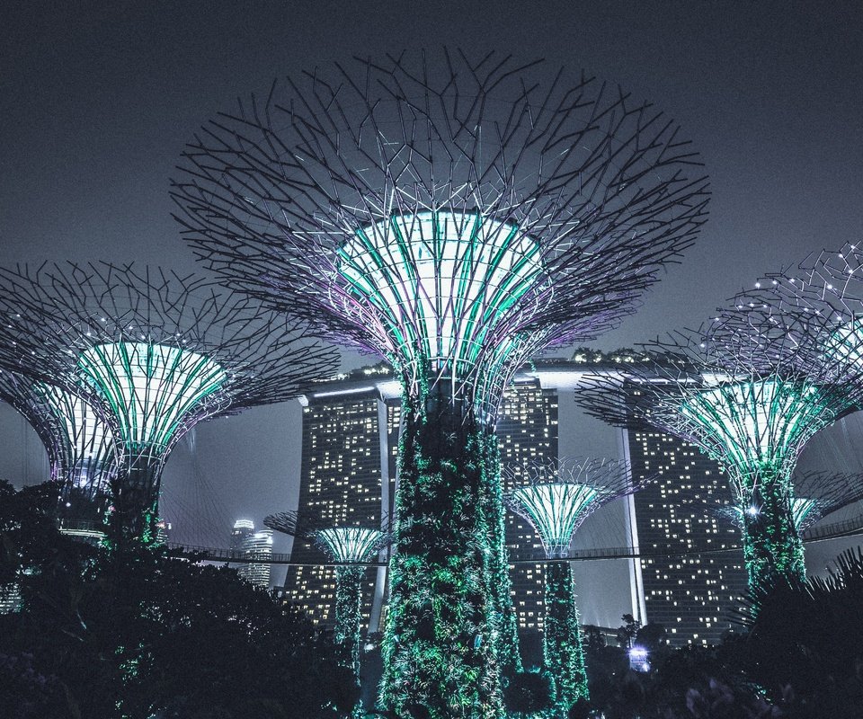 Обои ночь, подсветка, архитектура, сингапур, night, backlight, architecture, singapore разрешение 4962x3308 Загрузить