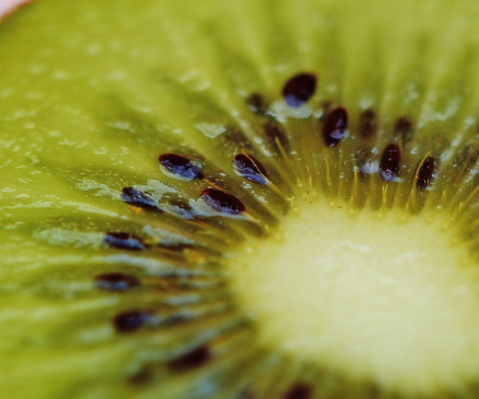 Обои фрукты, киви, крупным планом, fruit, kiwi, closeup разрешение 6016x4000 Загрузить