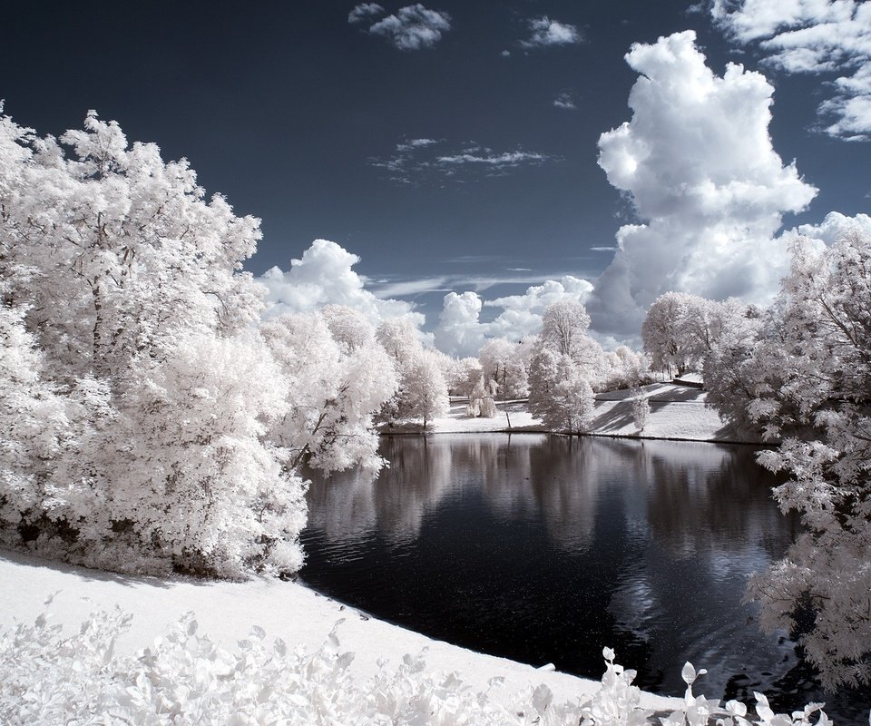 Обои небо, облака, деревья, вода, снег, природа, зима, the sky, clouds, trees, water, snow, nature, winter разрешение 2560x1600 Загрузить