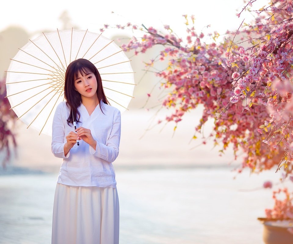 Обои цветение, девушка, весна, сакура, зонтик, в белом, азиатка, flowering, girl, spring, sakura, umbrella, in white, asian разрешение 2048x1327 Загрузить