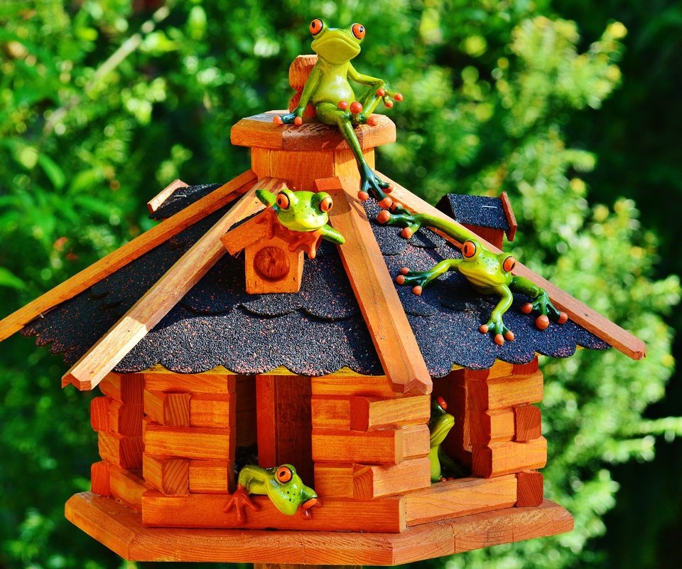 Обои зелень, дом, домик, крыша, лягушки, сувенир, greens, house, roof, frogs, souvenir разрешение 5990x3960 Загрузить