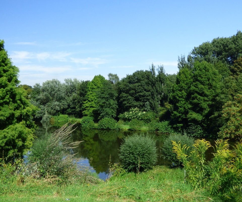 Обои озеро, лес, lake, forest разрешение 4608x2879 Загрузить