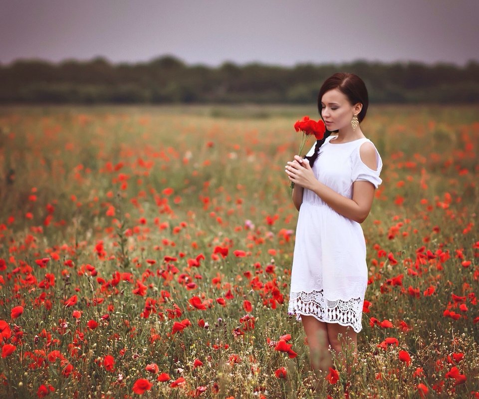 Обои девушка, платье, поле, красные, маки, руки, белое платье, girl, dress, field, red, maki, hands, white dress разрешение 2048x1364 Загрузить