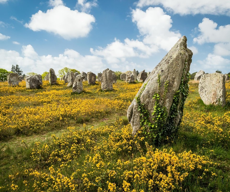 Обои небо, цветы, облака, камни, лето, the sky, flowers, clouds, stones, summer разрешение 5000x3571 Загрузить