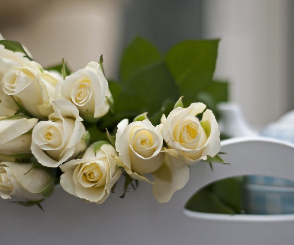 Обои цветы, бутоны, розы, лепестки, букет, белые, flowers, buds, roses, petals, bouquet, white разрешение 4288x2848 Загрузить